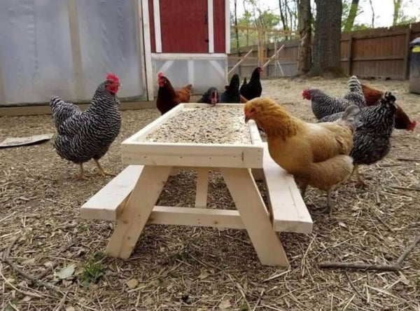 Chicknic Table